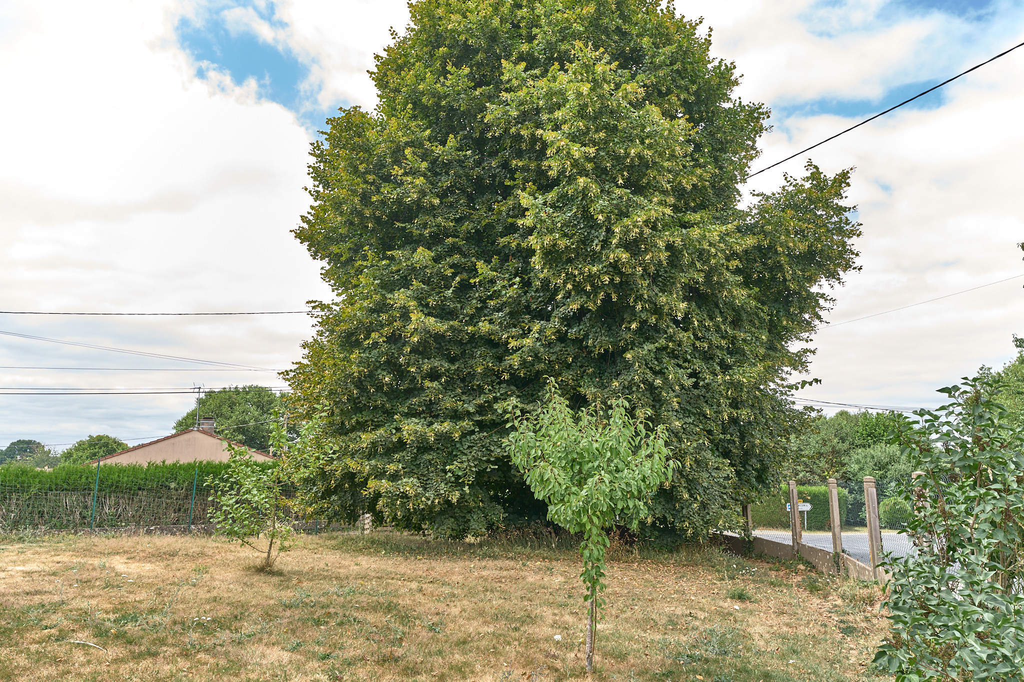Autre image